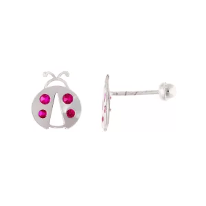 Broquel Animals.- Z06611BP